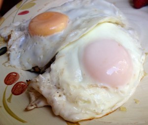 Eggs_done2