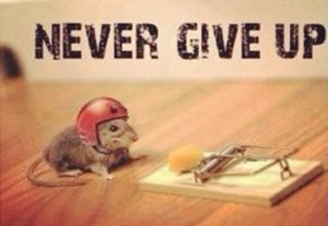 never give up