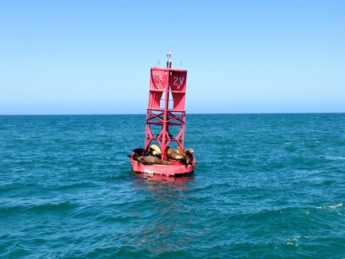 Iphone_Channel_Islands3